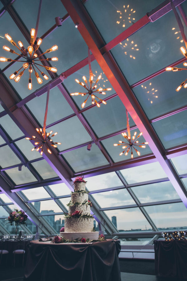 Adler Planetarium Wedding And Event Photos