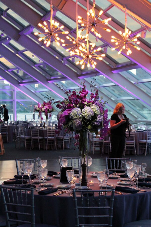 Adler Planetarium Wedding And Event Photos