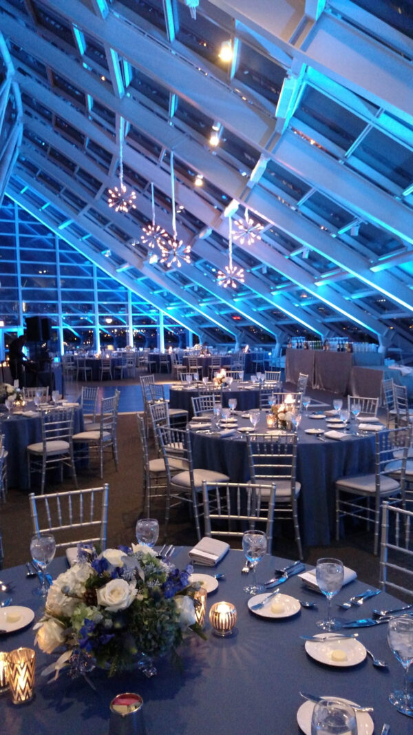 Adler Planetarium Wedding And Event Photos