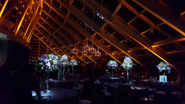 Adler Planetarium Wedding And Event Photos