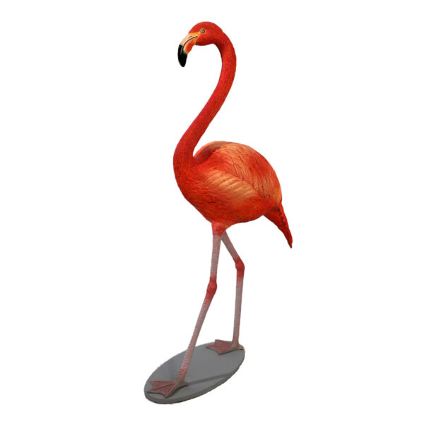 Baby Flamingo 1