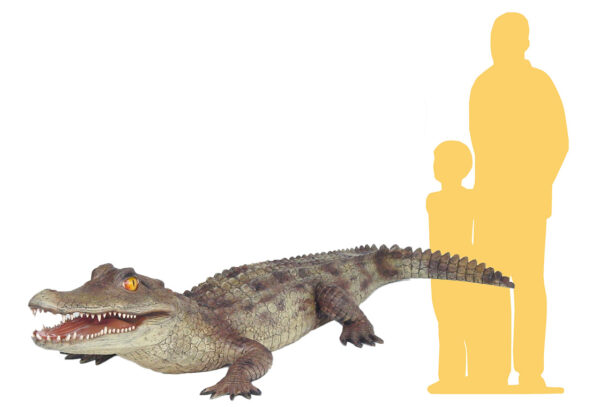 Caiman Alligator Scale