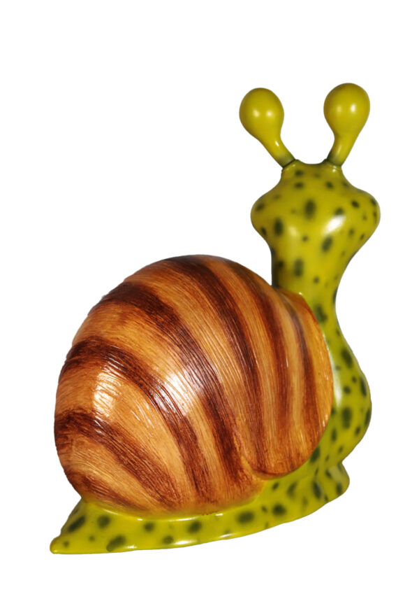 Female Snail 4