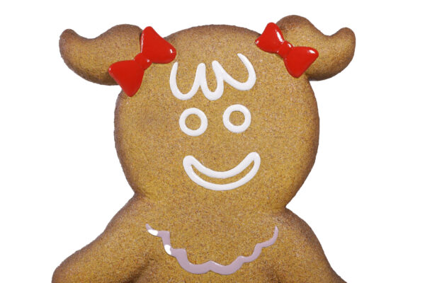 Gingerbread Girl 5