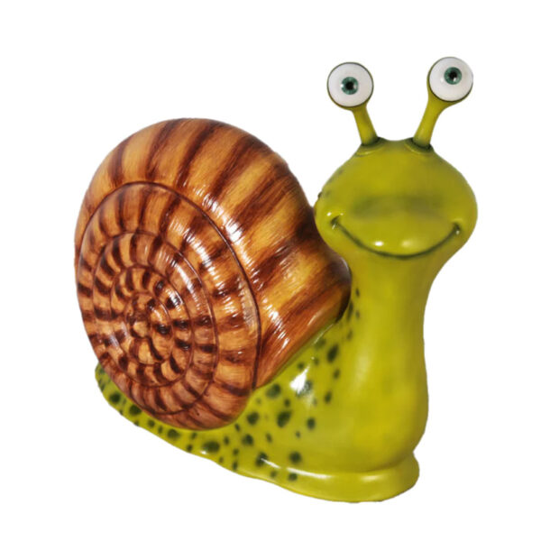 Male Snail