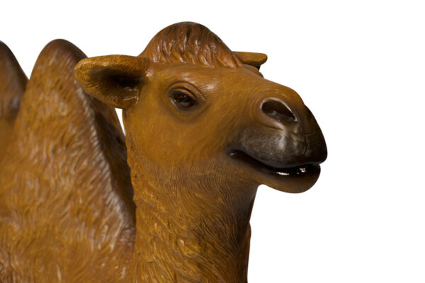 Camel Closeup Websize
