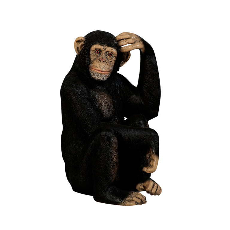 Life-size Chimpanzee - Event Décor And Prop Rental