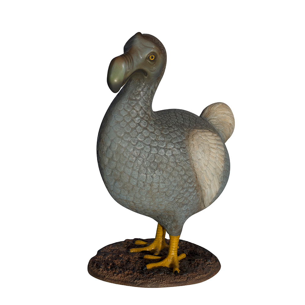 Life-size Dodo Bird - Event Décor And Prop Rental
