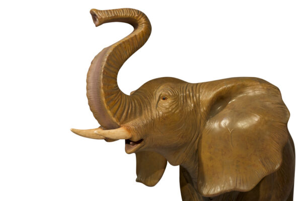 Elephant Closeup Websize