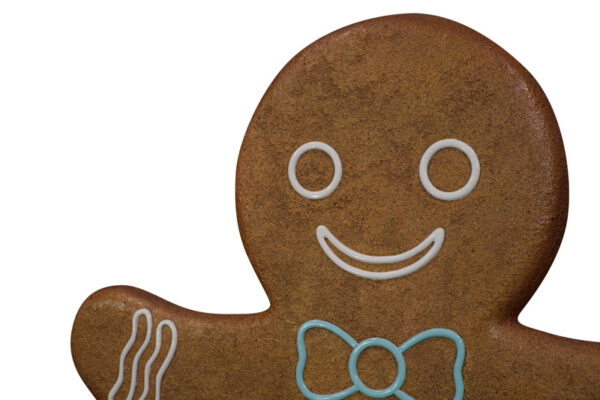 Gingerbreadman Closeup Websize