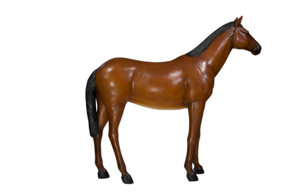 Horselifesizestanding Profile Websize