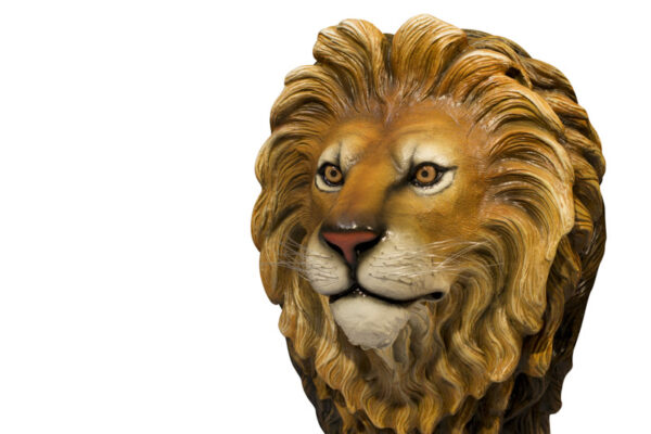Lionking Closeup Websize