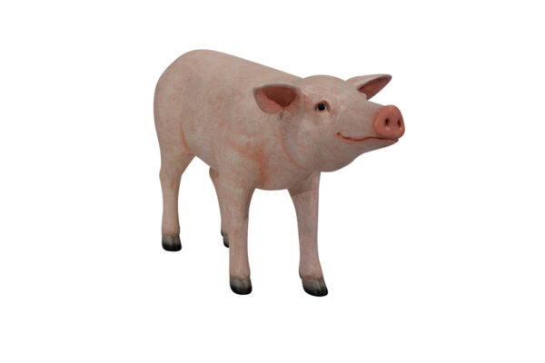 Pig 3 4 Websize