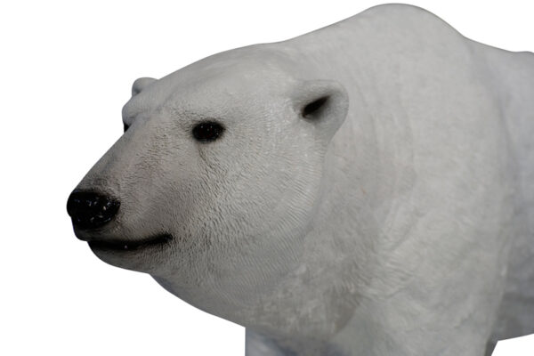 Polarbear Closeup Websize