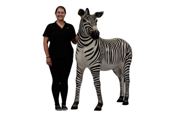 Zebra Caitlin Websize 1