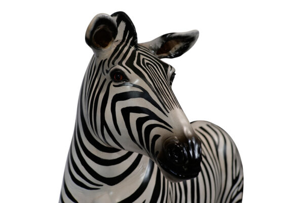 Zebra Closeup Websize 1