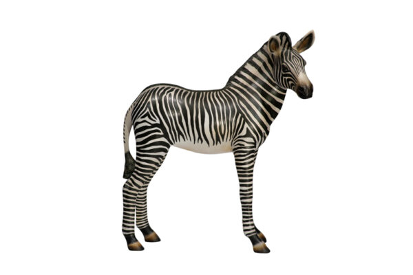 Zebrafoal Profile Websize