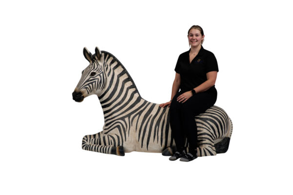 Zebraresting Caitlin Websize