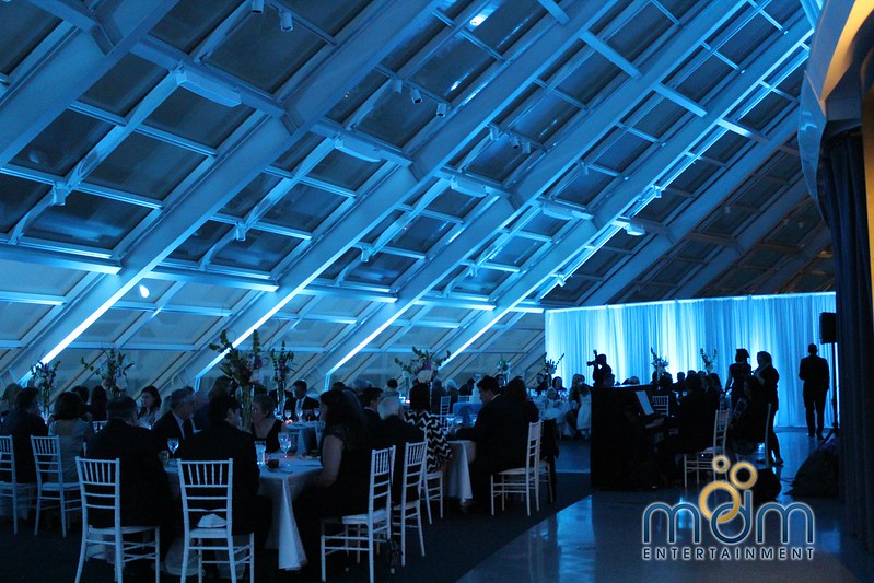 Icy Blue Lighting With Drapes At The Adler Planetarium