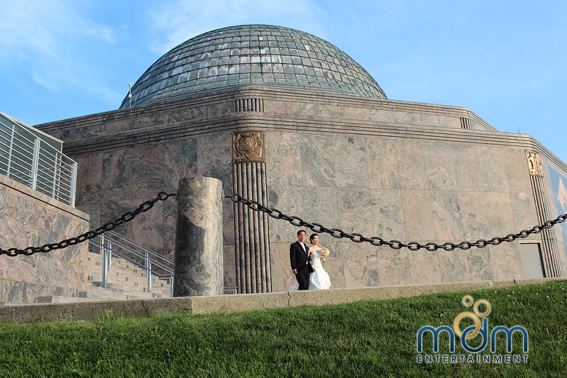 Bride And Groom Outside The Adler Planetarium