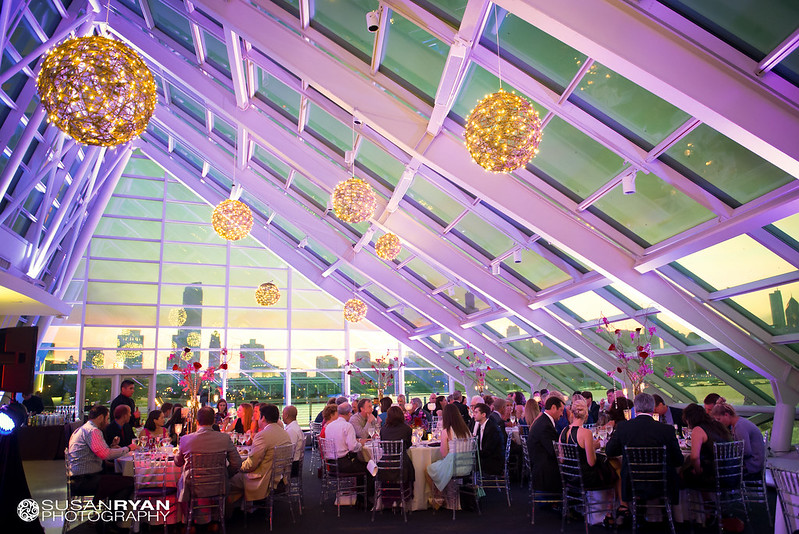 Purple Uplighting With Hanging Grapevine Ball Chandeliers At The Adler Planetarium