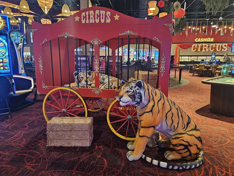 Circus Cage With A Tiger Cub Inside, And  Tigress Outside