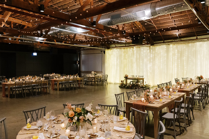 Walden Chicago Wedding Reception, Twinkle Lights Backdrop, Hanging Strings Lights