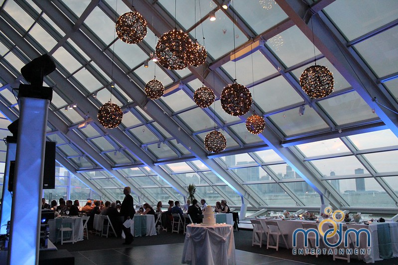 Adler Planetarium Wedding Lighting Grapevines