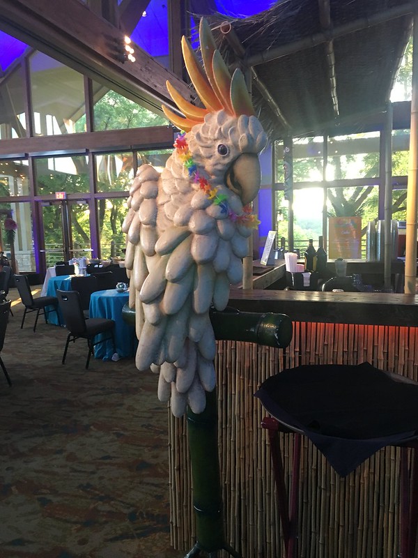 Chicago Luau Prop Rentals Parrot