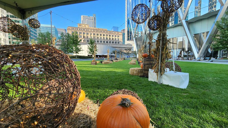 Grapevine Ball Decor