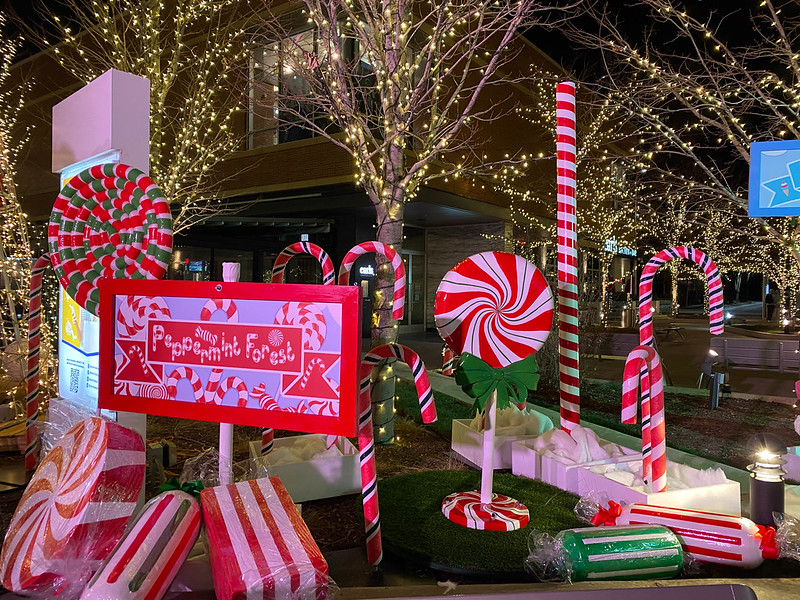 Chicago Holiday Decor Company - Candyland