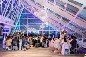 Wedding At Adler Planetarium