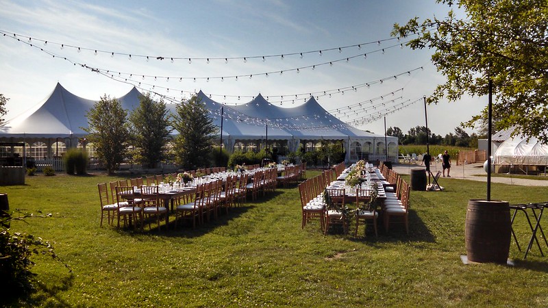 Wedding String Lights