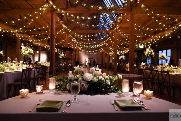 Wedding String Lights