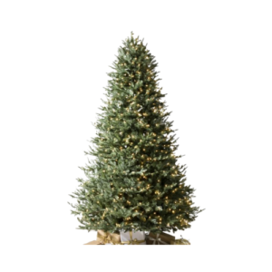 Clear Incandescent Lights - Christmas Tree rental