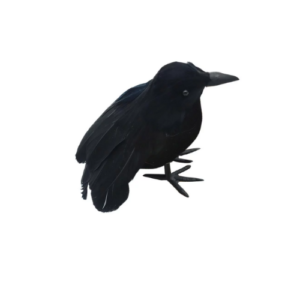 Raven Prop or Crow Prop