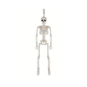 Mini Human Skeleton Prop