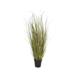 4' Potted Grass Plant