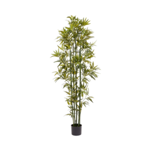 6' Bamboo Tree