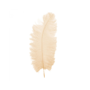 Eggshell Ostrich Feathers