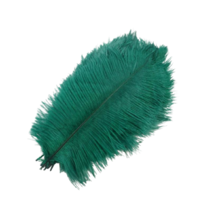 Green Ostrich Feathers