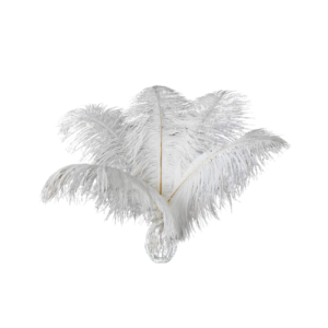 White Ostrich Feathers