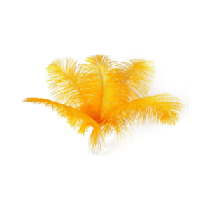 Gold Ostrich Feathers