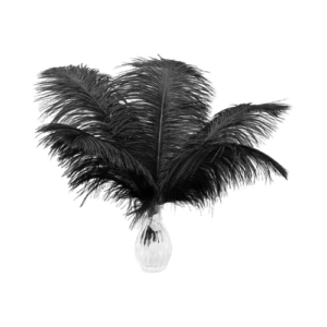 Black Ostrich Feathers