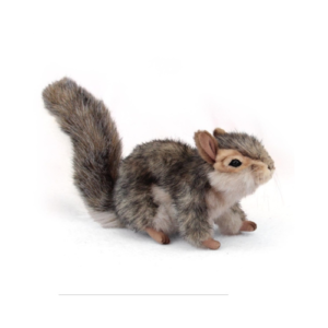 Squirrel Plush