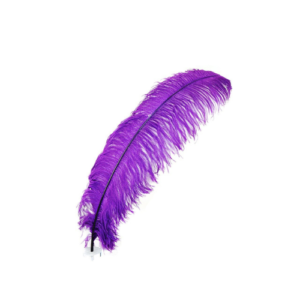 Purple Ostrich Feathers