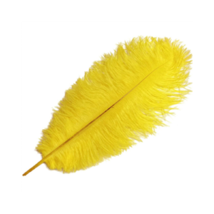 Yellow Ostrich Feathers