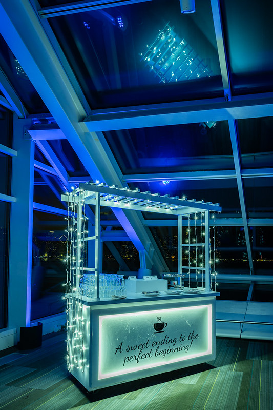 Adler Planetarium Chicago Wedding