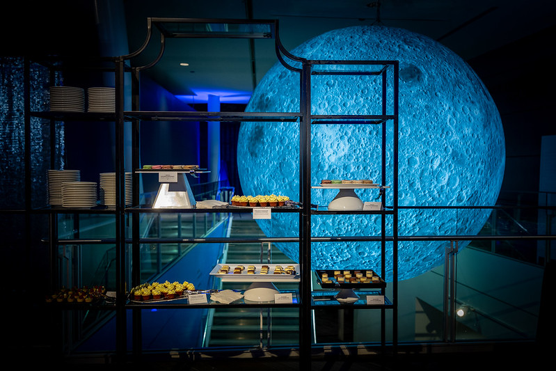 Adler Planetarium Chicago Wedding