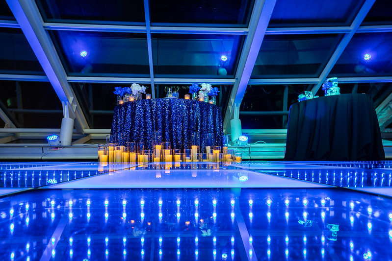 Adler Planetarium Chicago Wedding Wedding